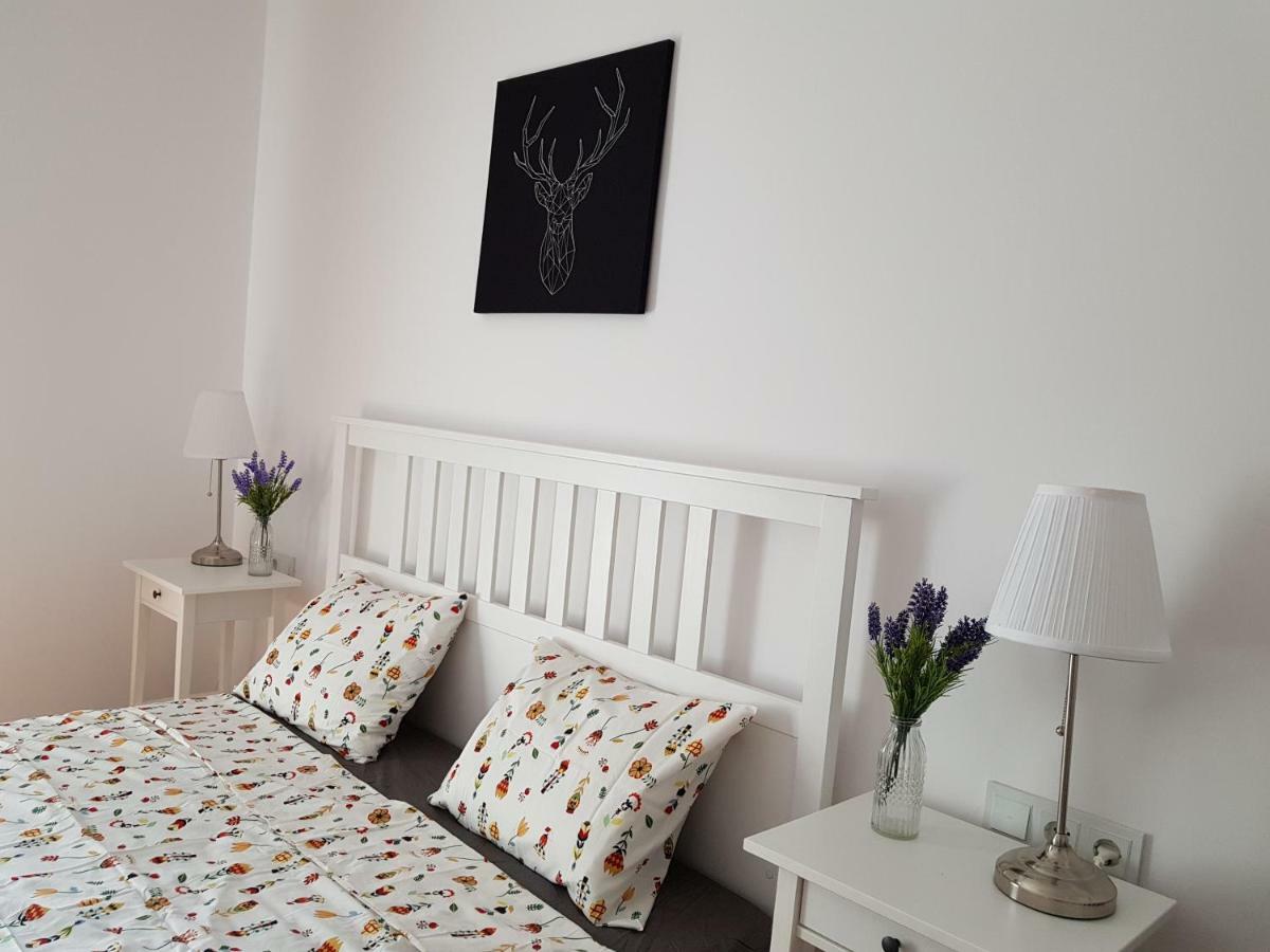 Oberiter Apartments - Center Of Zagreb, Fast Wifi, Ac, Kitchen, Parking Exterior photo